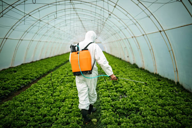 Pest Control for Restaurants in Johnson City, TN
