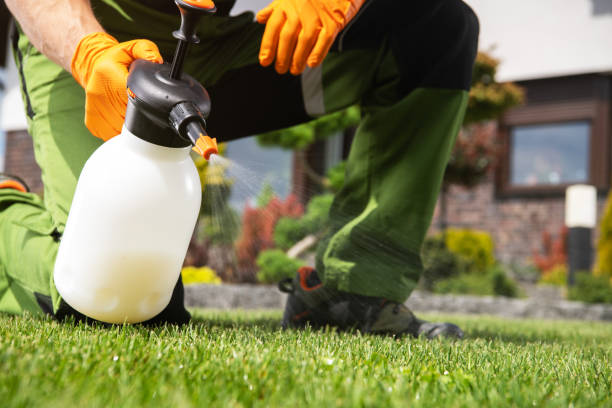 Best Pest Prevention Services  in Johnson City, TN
