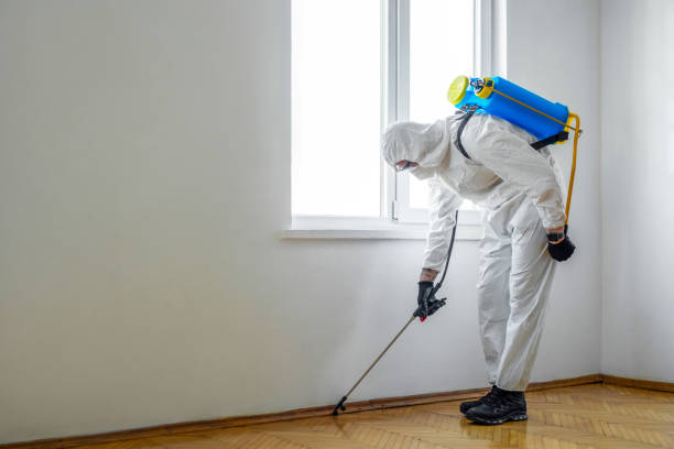 Best Pest Removal Services  in Johnson City, TN