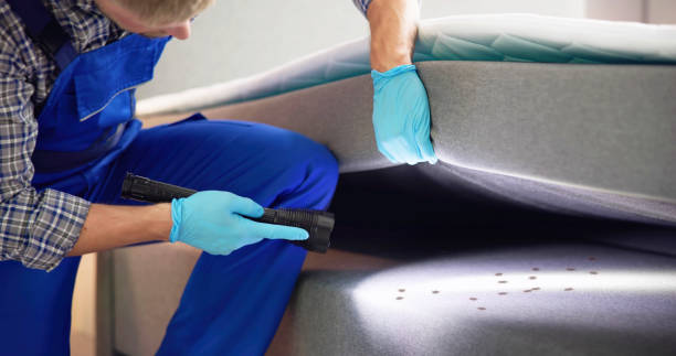 Best Termite Control Services  in Johnson City, TN
